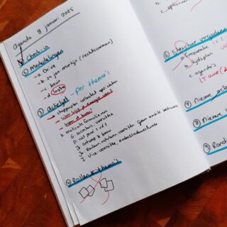 9 januari 2025 | ons eerste echte Finca groepsoverleg.
We komen vanaf nu 1 keer in de 2 weken bij elkaar om samen te eten en te overleggen. De rollen en thema's zijn verdeeld. We zijn nog geen officiële vereniging en een bestuur is nog niet nodig, maar een structuur voor vergaderen en werken is noodzakelijk. Gerjanne is voorzitter geworden en Iris secretaris. Iedereen is daarnaast thematrekker geworden van 1 onderwerp. Patricia gaat zich verdiepen in groepsvorming, Jeroen trekt het plan van eisen, Jack is verantwoordelijk voor de Financiën, Gerjanne gaat aan de slag met het thema processen en rechtsvormen en Iris zal verantwoordelijk zijn voor het netwerk opbouwen en onderhouden. 

In de komende weken gaan we deze thema's vulling geven en het ons eigen maken. We evalueren over 4 weken of het thema nog steeds bij ons past. Voor nu kunnen we aan de slag met ons inlezen en een concrete actielijst opstellen per thema 📚📝

Het samen eten en afwassen hoort daar ook bij. Plezier hebben als groep is net zo belangrijk als het zetten van stappen op papier!